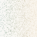 The Memory Palace I Don't Need (and What I Might Be Missing)