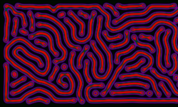 Featured image of post Firms Draw Their Edges the Way Leopards Grow Their Spots